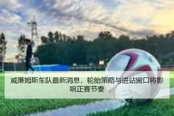 威廉姆斯车队最新消息，轮胎策略与进站窗口将影响正赛节奏